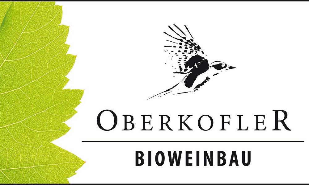 Oberkofler Logo neu